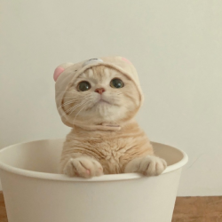 công ty cổ phần DJKS