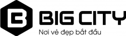 Công ty cổ phần BigCity Việt Nam