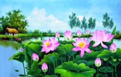 CÔNG TY CP TẬP ĐOÀN HOA SEN