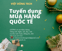 Công ty TNHH Giải pháp Công nghệ Việt Dũng