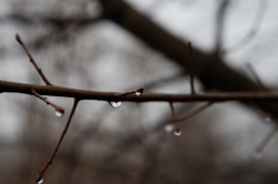 Công Ty Cổ Phần Limi