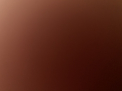 Công Ty TNHH KD XNK HT