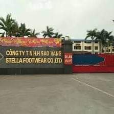 Công ty TNHH Đỉnh Vàng