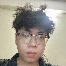 lê đình mạnh