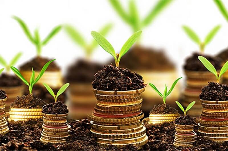 Môi giới nhà đất