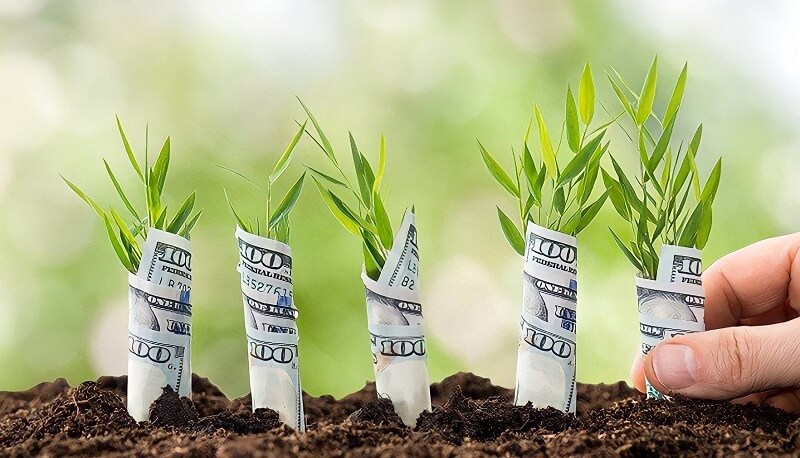 Nỗ lực cho công việc hiện tại