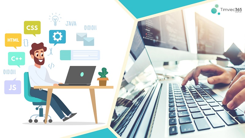 Nhân viên IT phát triển website