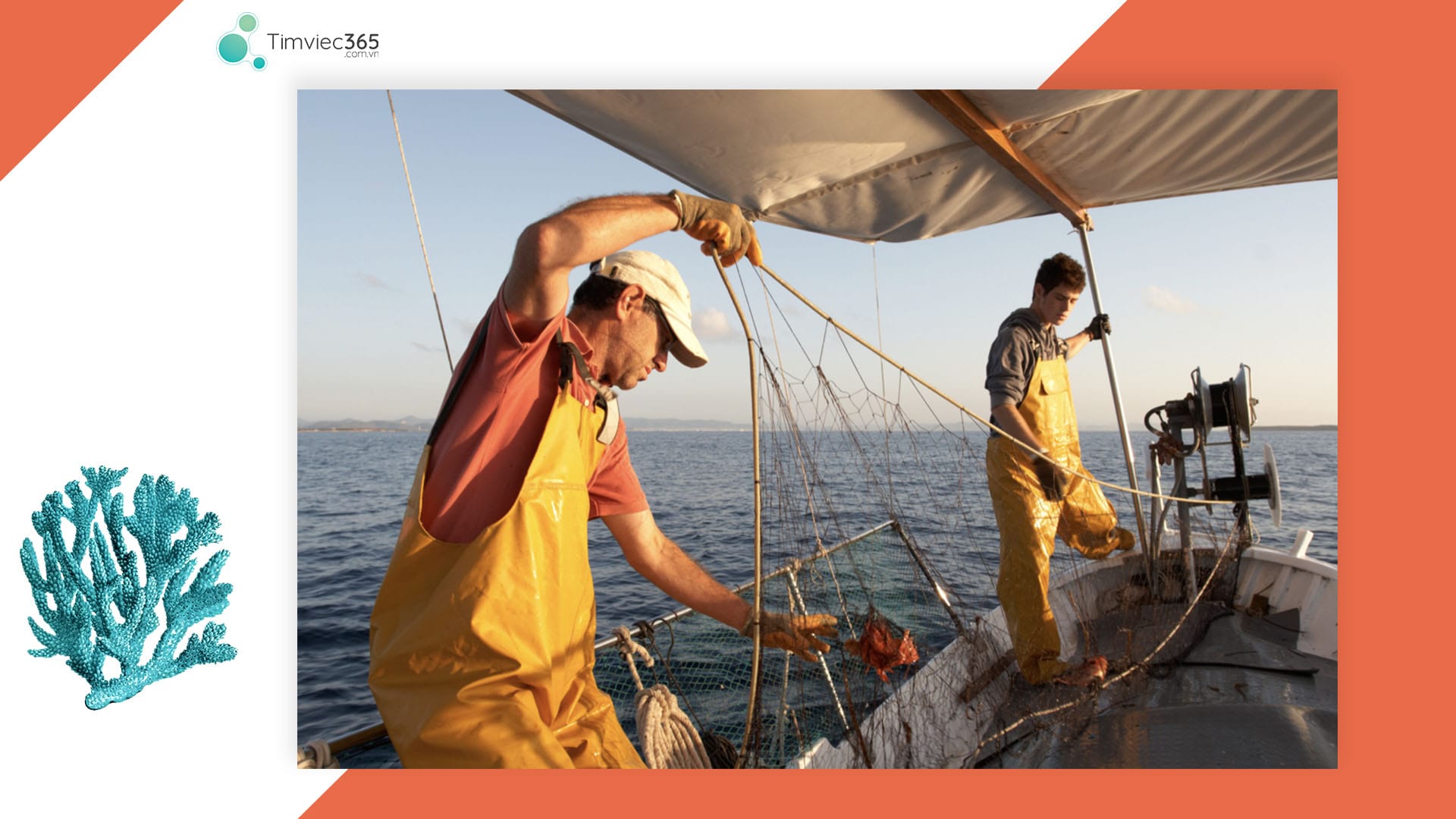 Những yêu cầu, kỹ năng khi làm nghề thủy sản