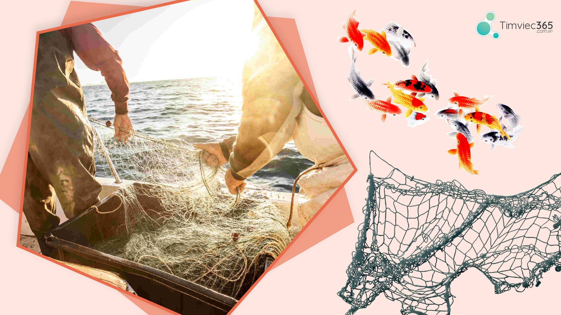 Thủy sản là việc làm bao gồm những gì?