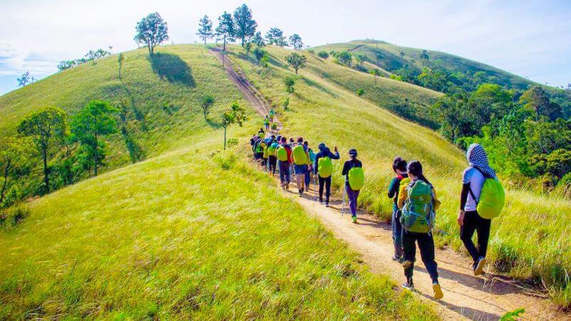Một hoạt động phổ biến khi tham gia ecotourism