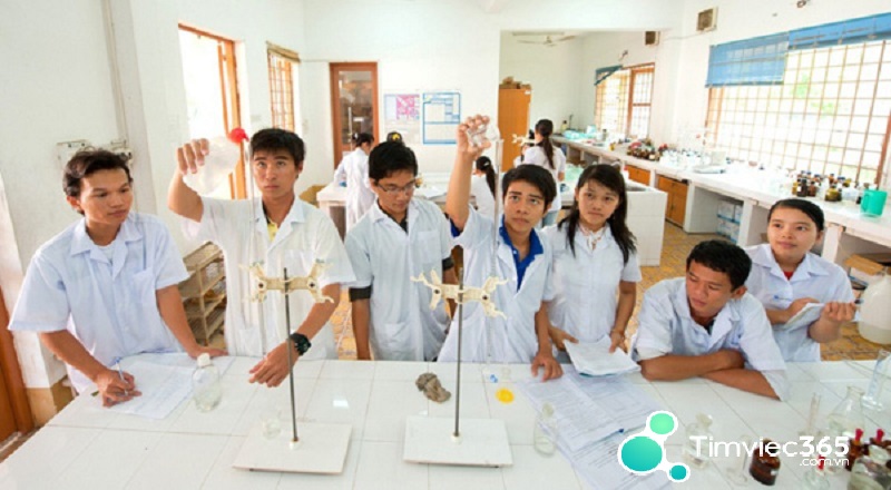 Kiến tập là gì