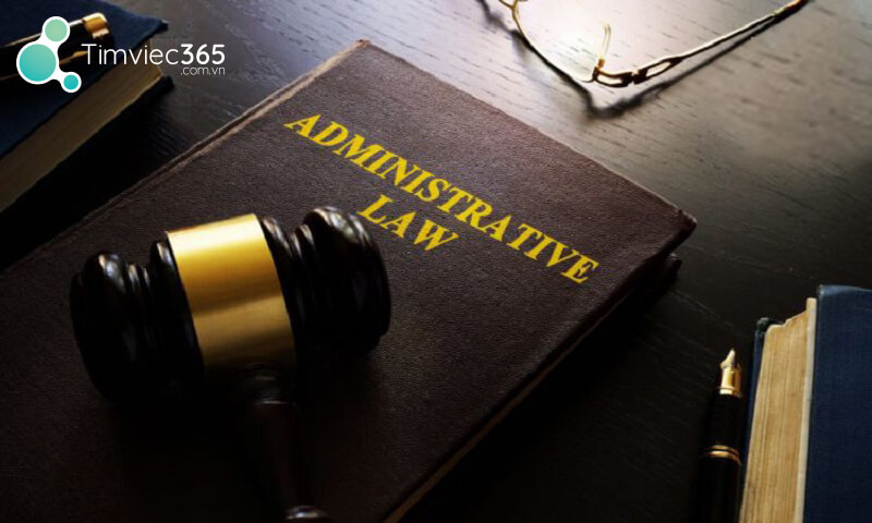 Những thông tin cơ bản về chuyên ngành Luật hành chính là gì?