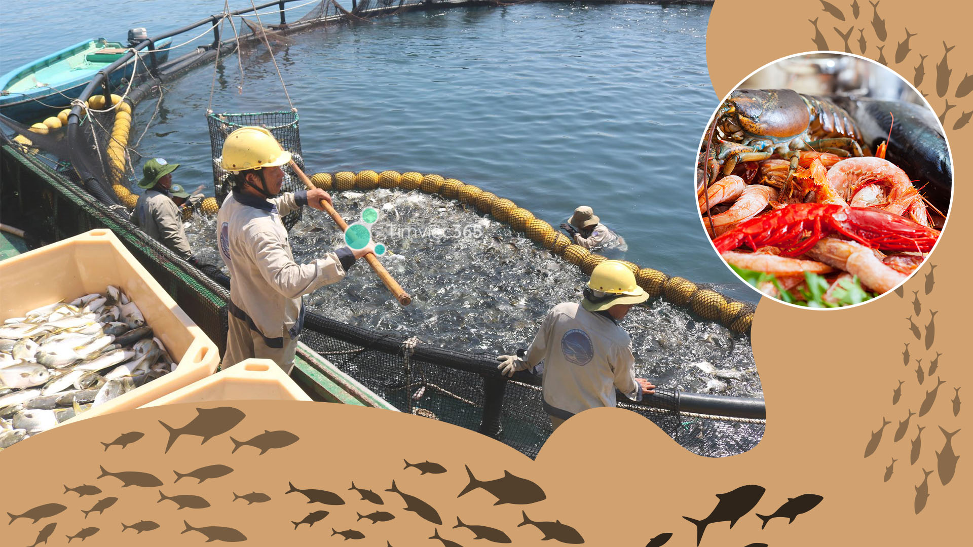 Mục tiêu đào tạo hướng tới 