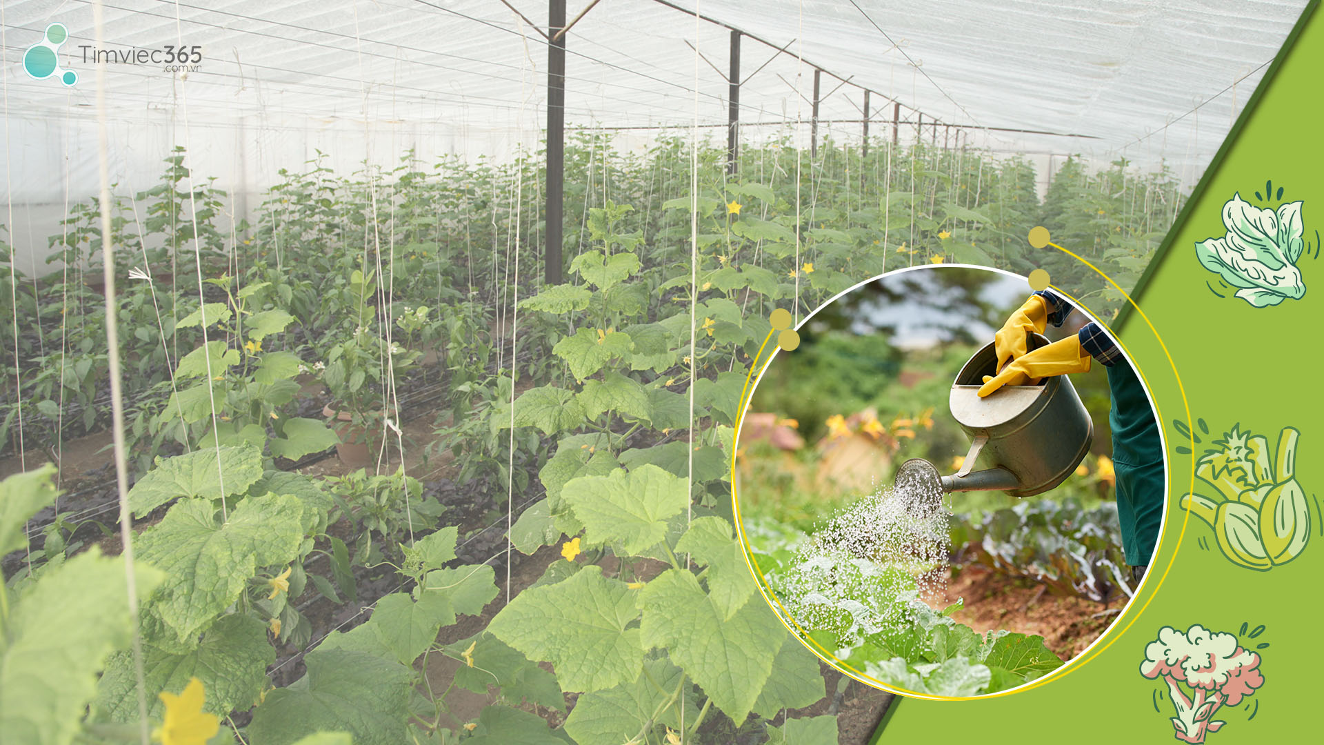 Tổ hợp thi tuyển dành cho bạn