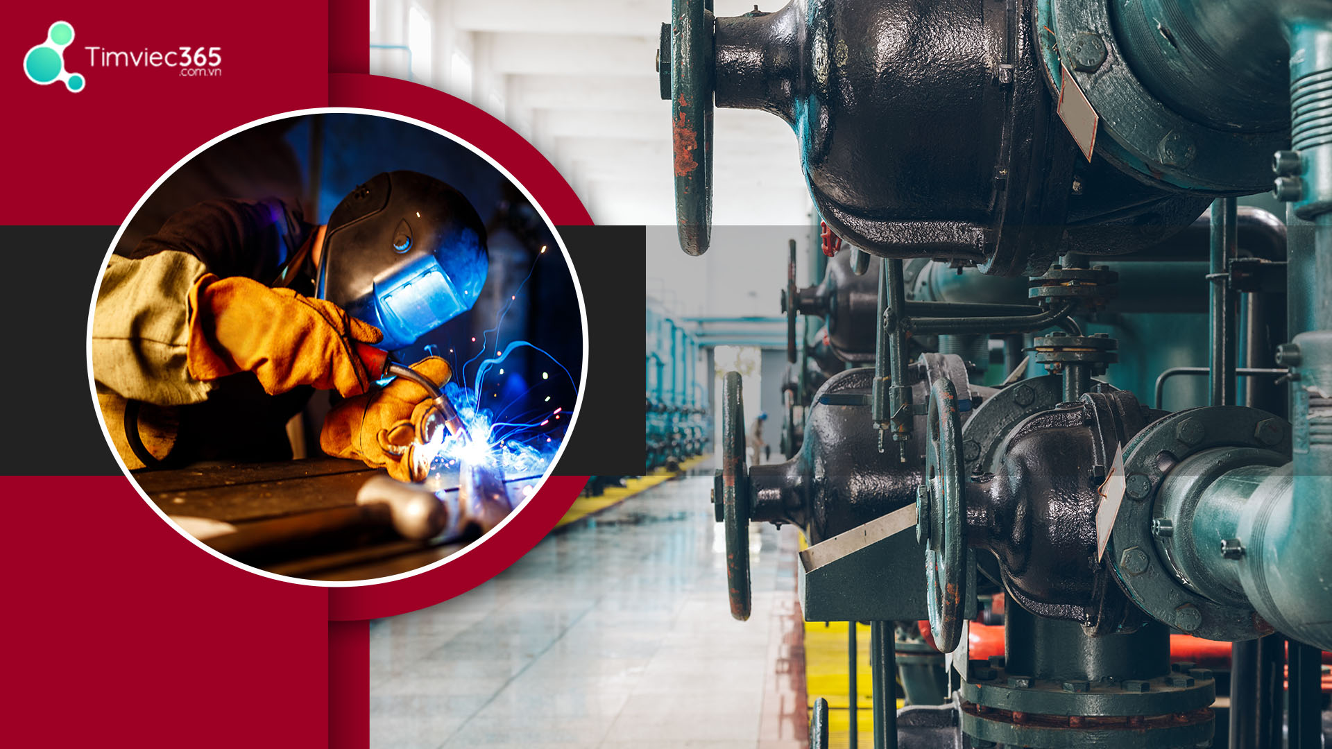 Đem lại mức thu nhập cao hơn