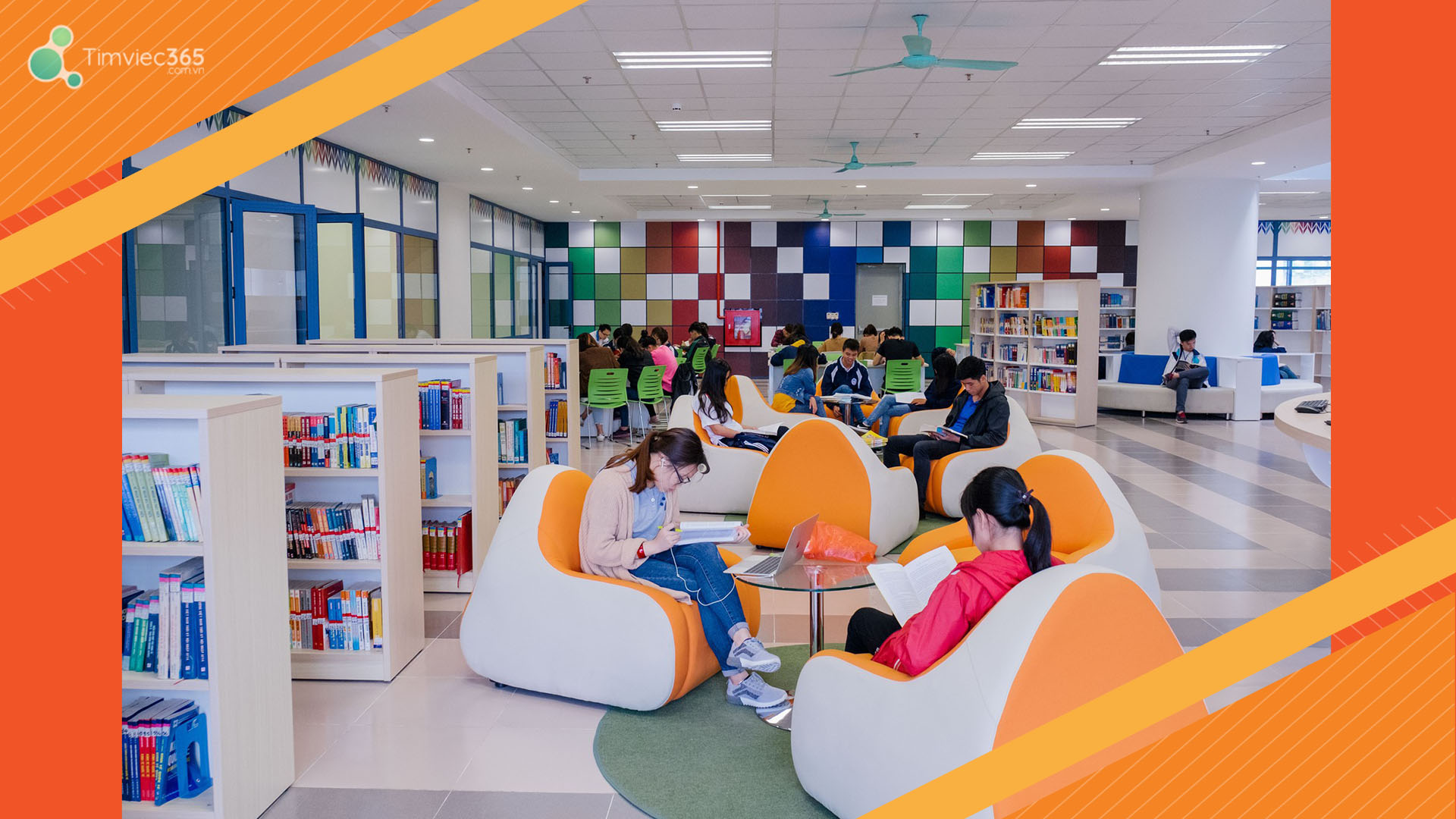 Ngành Thông tin - thư viện được hiểu ra sao?