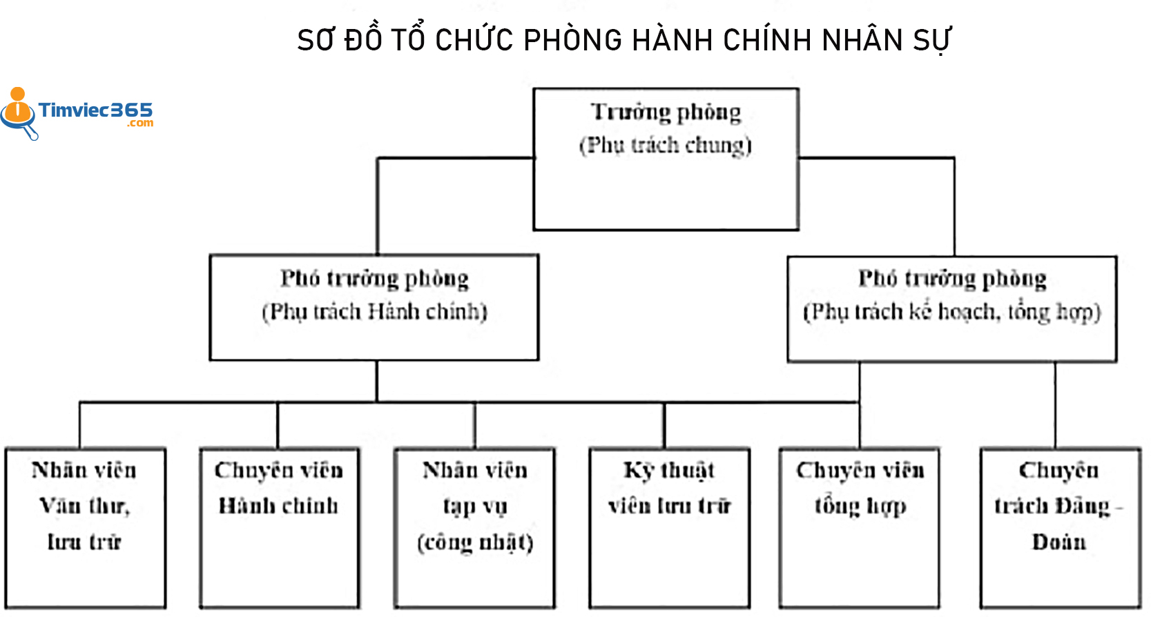 sơ đồ tổ chức phòng Hành chính Nhân sự