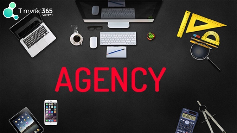 Những công việc có trong Agency