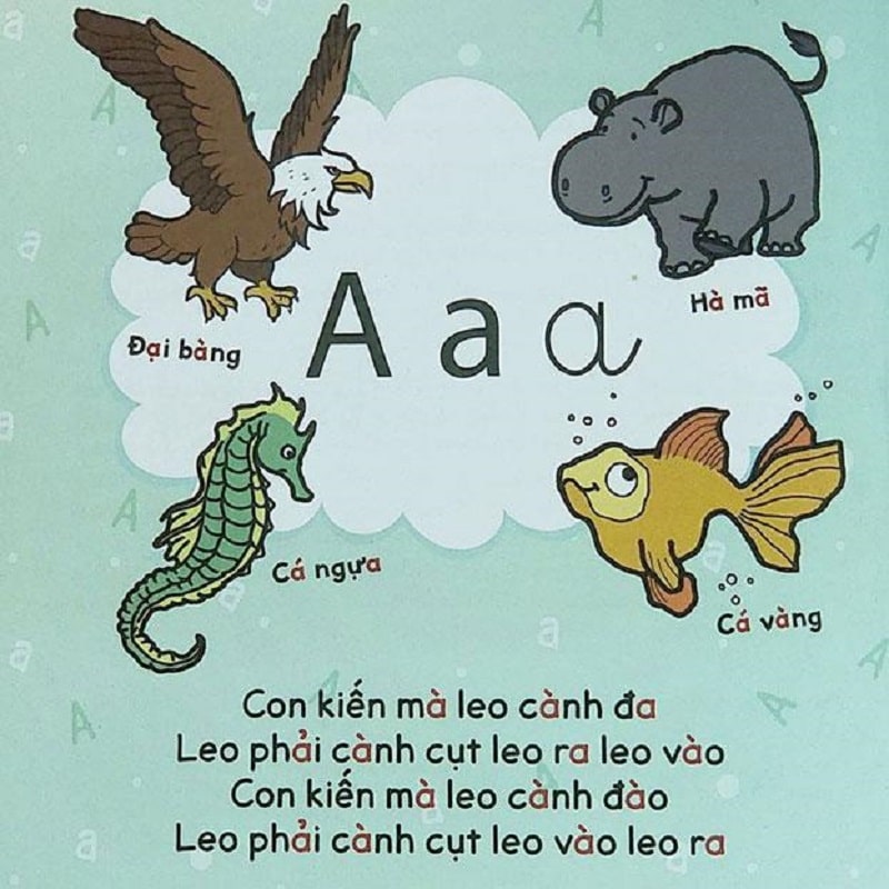 Tiêu chí lựa chọn