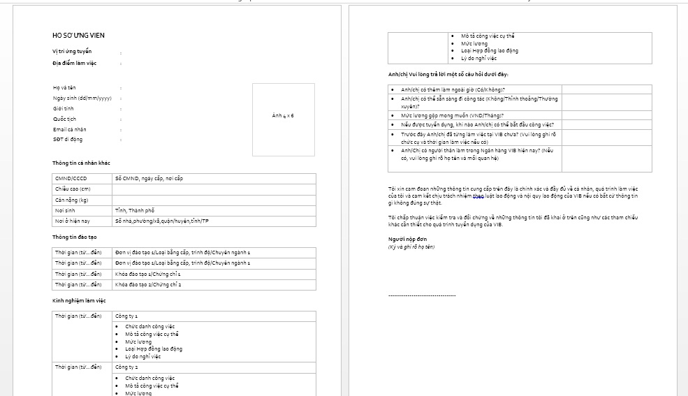 Bản Word mẫu đơn ứng tuyển VIB cho ứng viên