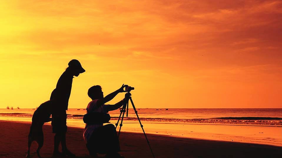  Bố cục tương phản giữa khung cảnh chính và nền của ảnh 