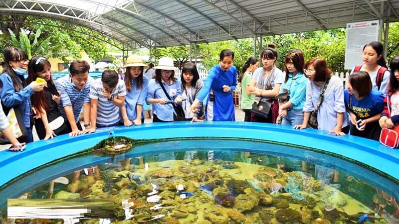Các trường đào tạo ngành Hải dương học hiện nay