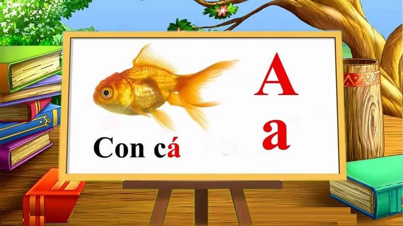 Cách dạy bảng chữ cái cho người nước ngoài