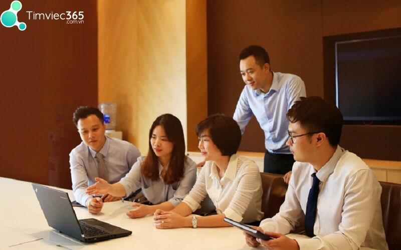 Trình bày kinh nghiệm trong quá trình viết cv xin việc của ngân hàng VIB như thế nào?