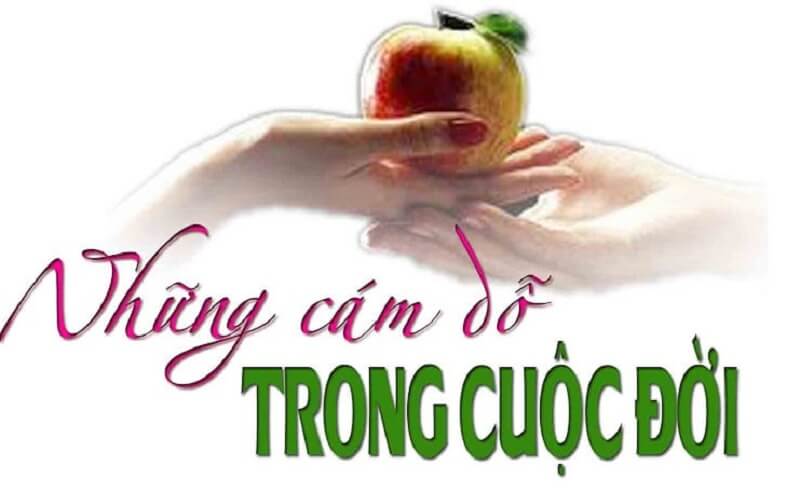 tác tại của cám dỗ là gì?