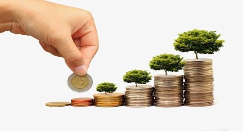 Đặc điểm của capital investment