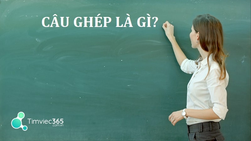 Khái niệm câu ghép