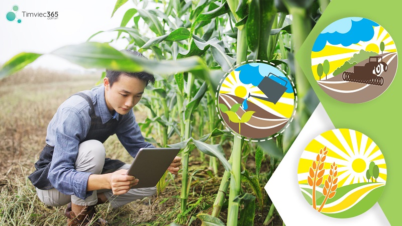 Có được chuyển từ đất nông nghiệp sang đất thổ cư?