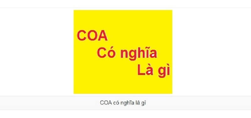 coa có nghĩa là gì