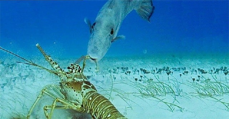 danh sách công ty thủy sản