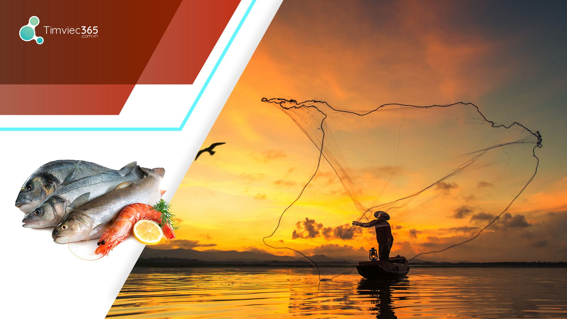 Khẳng định được vị thế