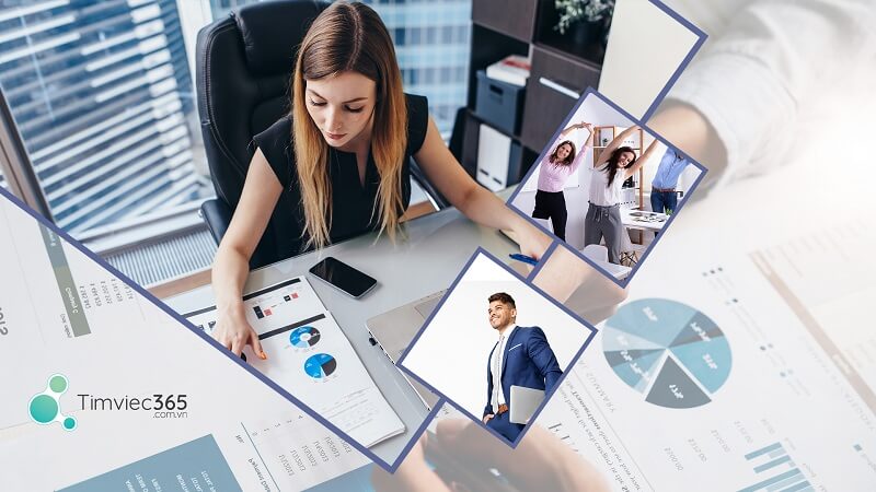 Yêu cầu trong công việc country manager