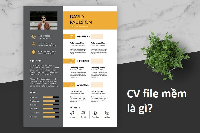 CV file mềm là gì