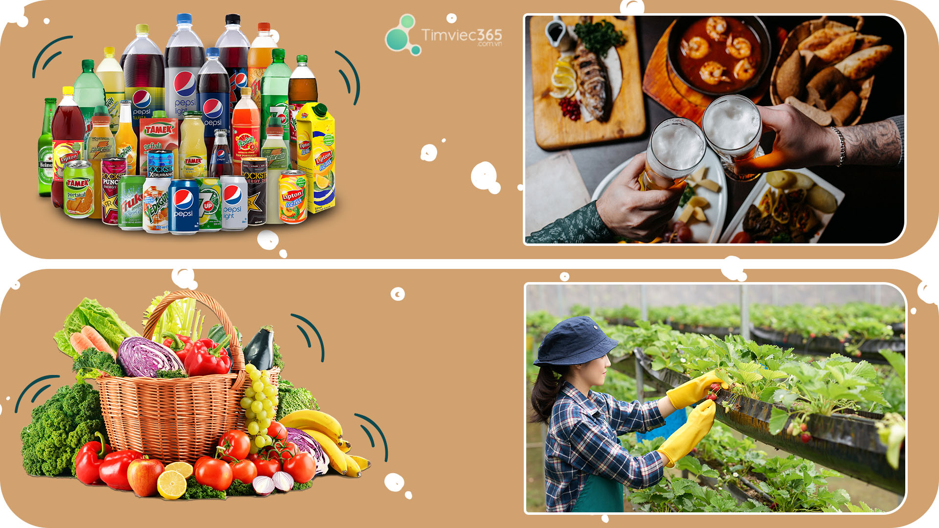 Vai trò của CV công nghệ thực phẩm