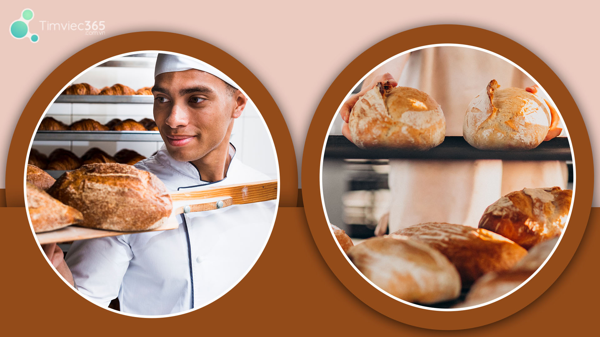 Lựa chọn mẫu CV đủ “thông minh”