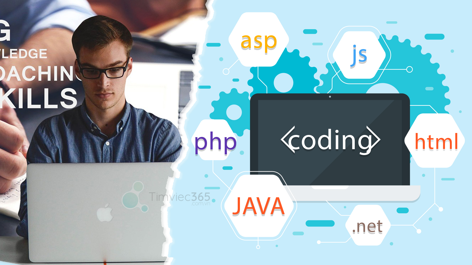 Thể hiện nội dung trong mục trình độ học vấn