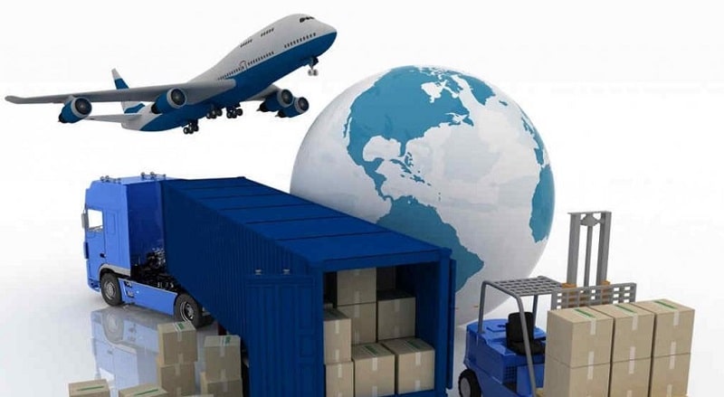 Cách viết trình độ chuyên môn XNK