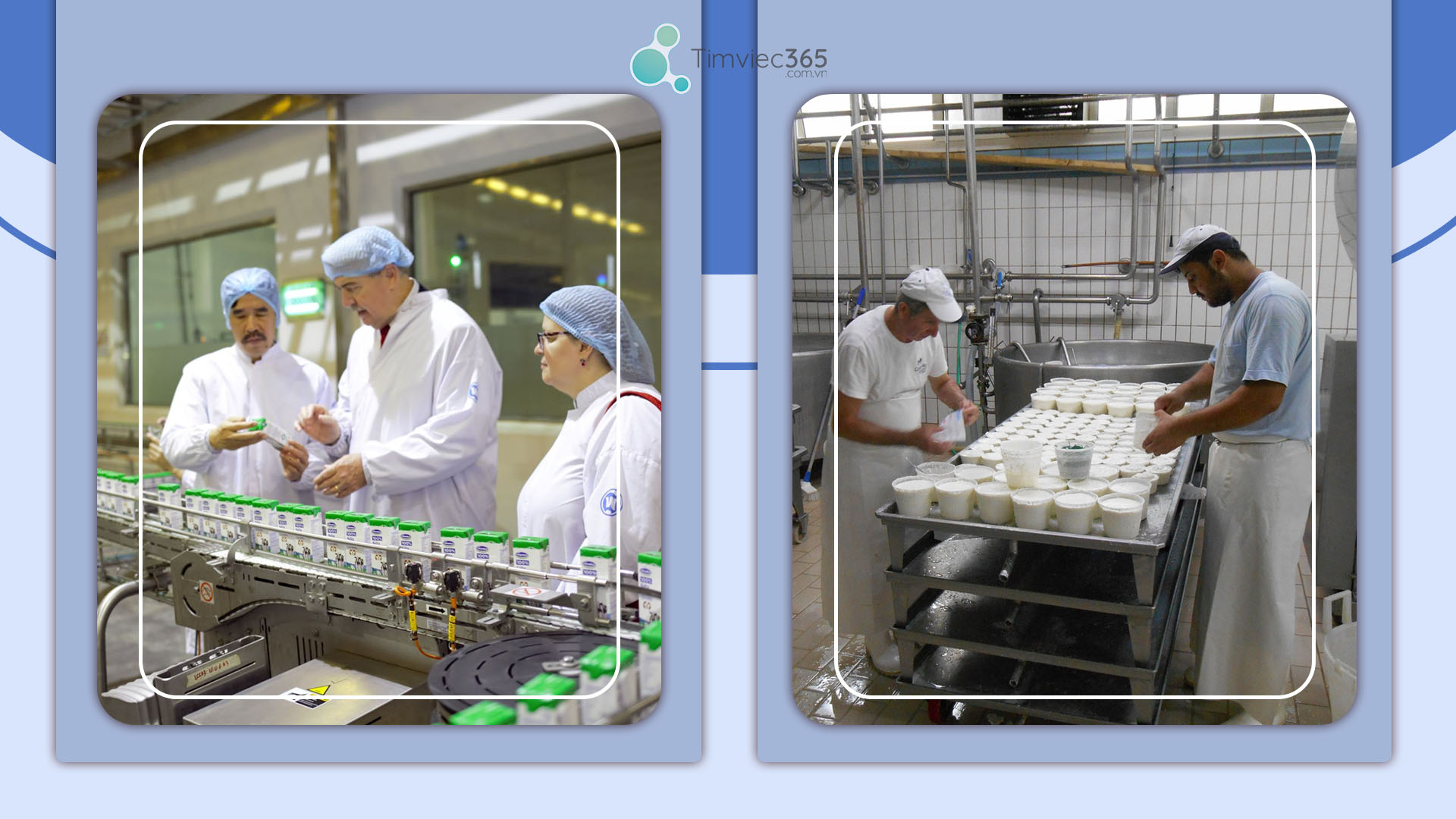 Nhầm lẫn vị trí công việc