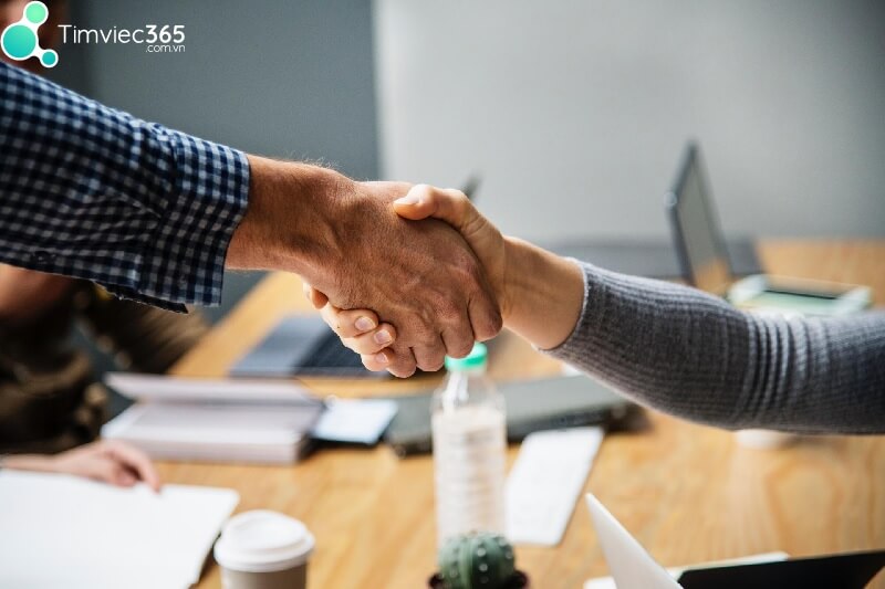 Tại sao CV xin việc thú y lại là cần thiết? 