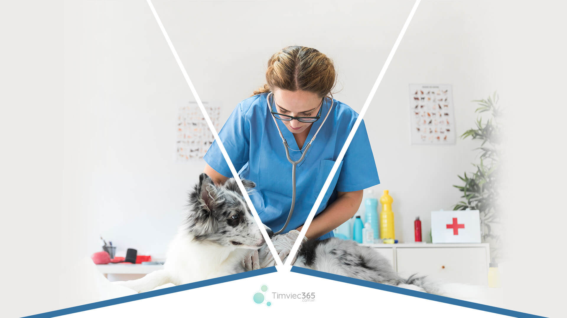 Tại sao CV xin việc thú y lại là cần thiết? 