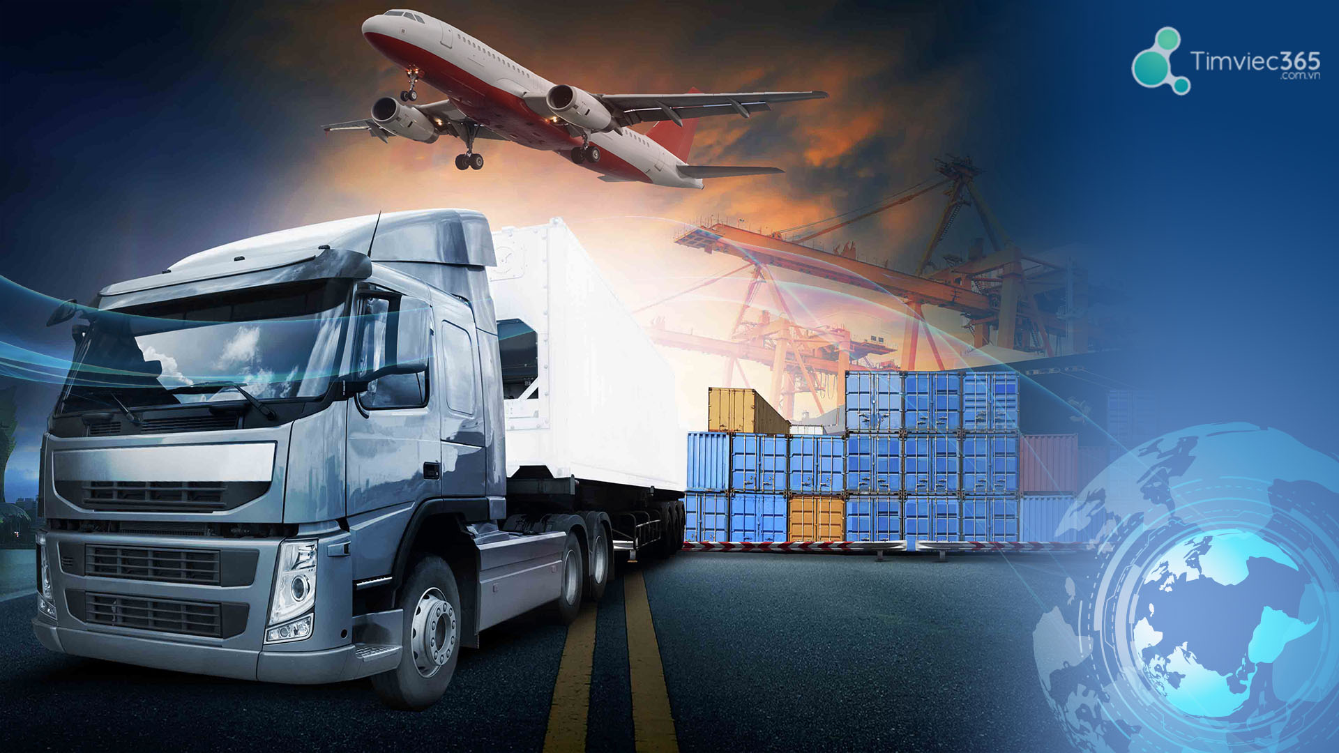 Những đặc điểm mà công ty xuất nhập khẩu đang sở hữu