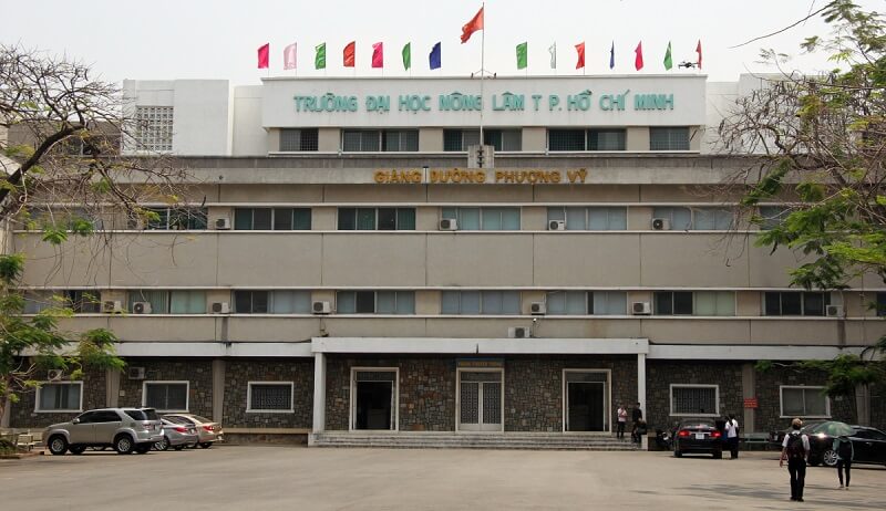 Trường có đội ngũ giảng viên đông đảo