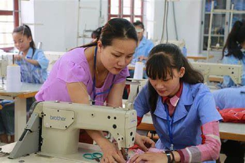 Các chương trình học được đào tạo tận tình