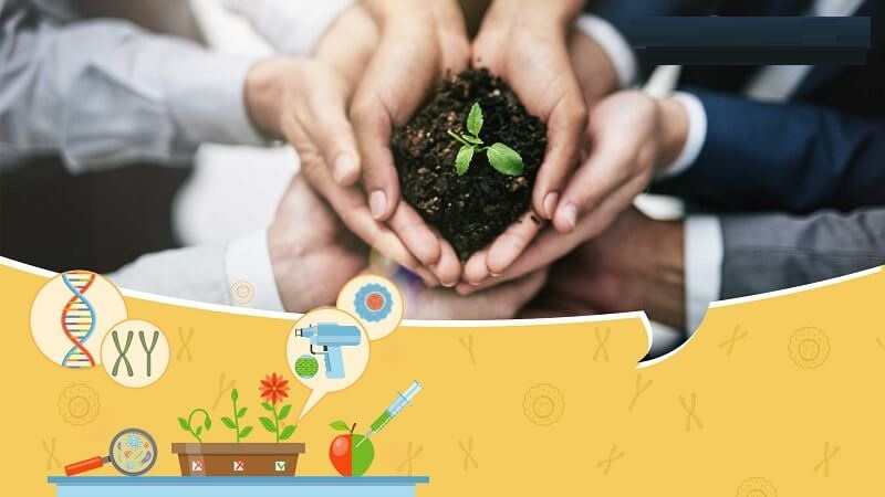 Có thể chuyển nhượng đất lâm nghiệp không?