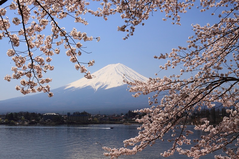 Khối thi vào ngành ngôn ngữ Nhật