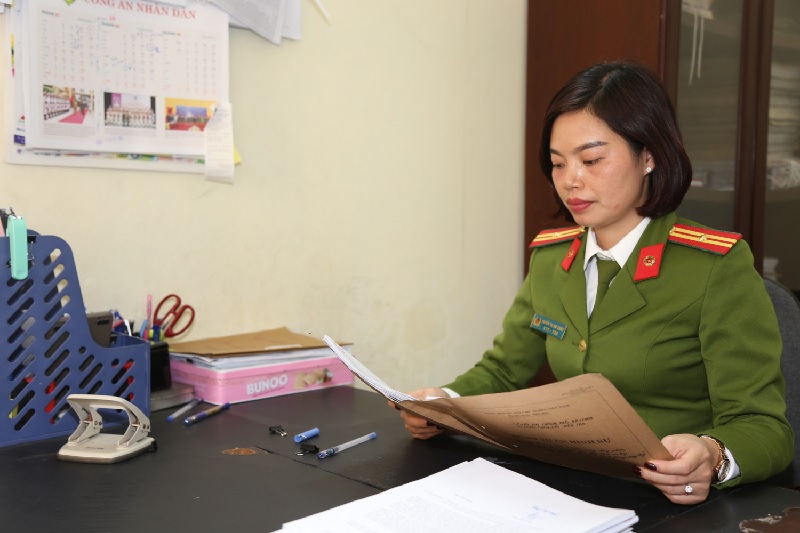 Điều tra theo lãnh thổ